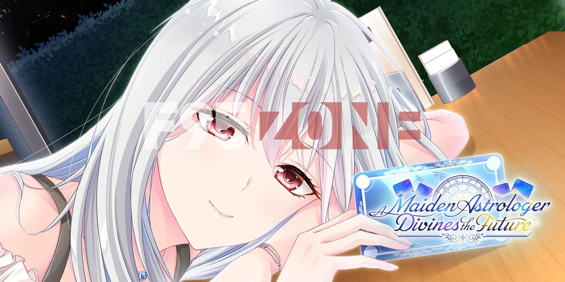 A Maiden Astrologer Divines the Future cover