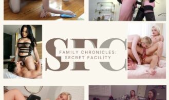 Family Chronicles: Secret Facility cover