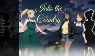 Into the Country cover