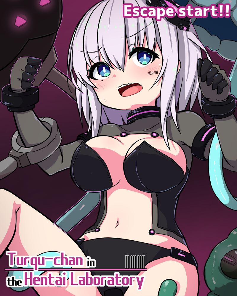 Turqu-chan in the Hentai Laboratory cover