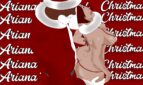 Ariana's Dark Christmas