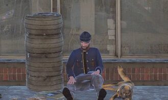 Silver Fox Havoc cover