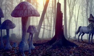 Beast Companions cover