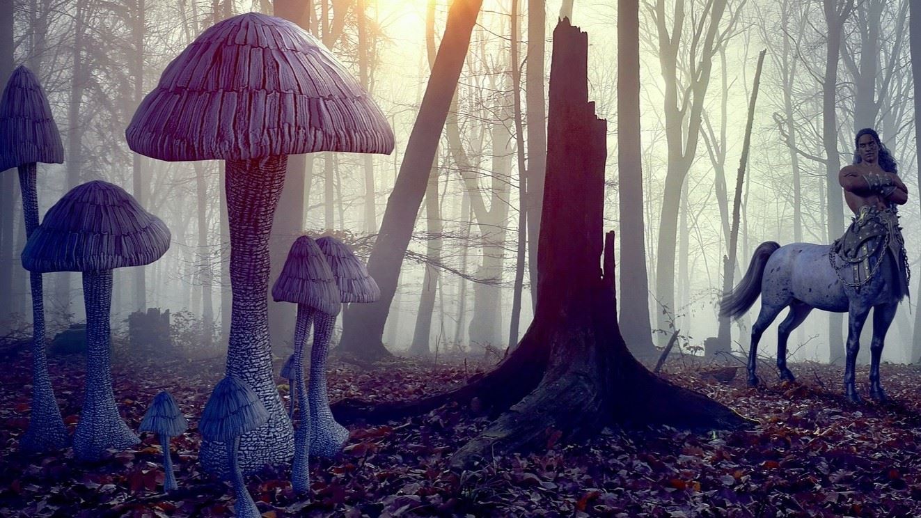 Beast Companions cover