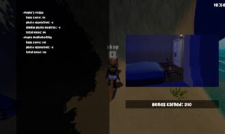 Pearl's Paradise cover