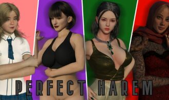 Perfect Harem cover