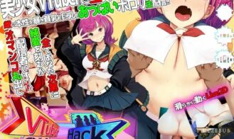 Vtuber Hack cover