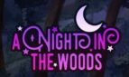 A Night in the Woods