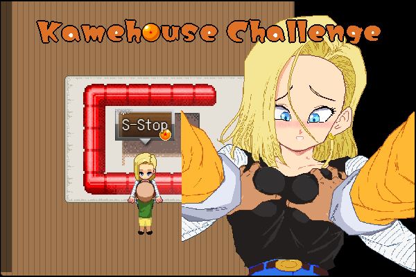 Kamehouse Challenge cover