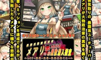 Mary’s Undercover Investigation of the Mansion of an Unscrupulous Politician cover