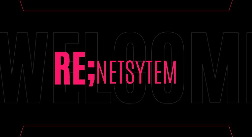 NetSystem cover