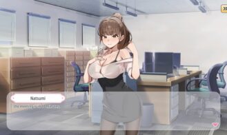 Secret Toy Adult Game Screenshots (8)