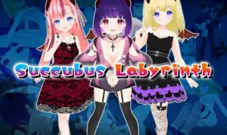 Succubus Labyrinth cover