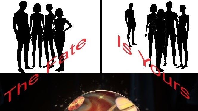 The Fate Is Yours cover