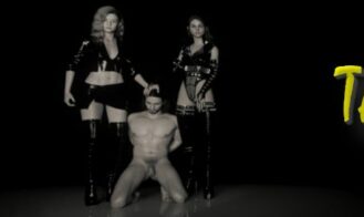 The Renaissance cover