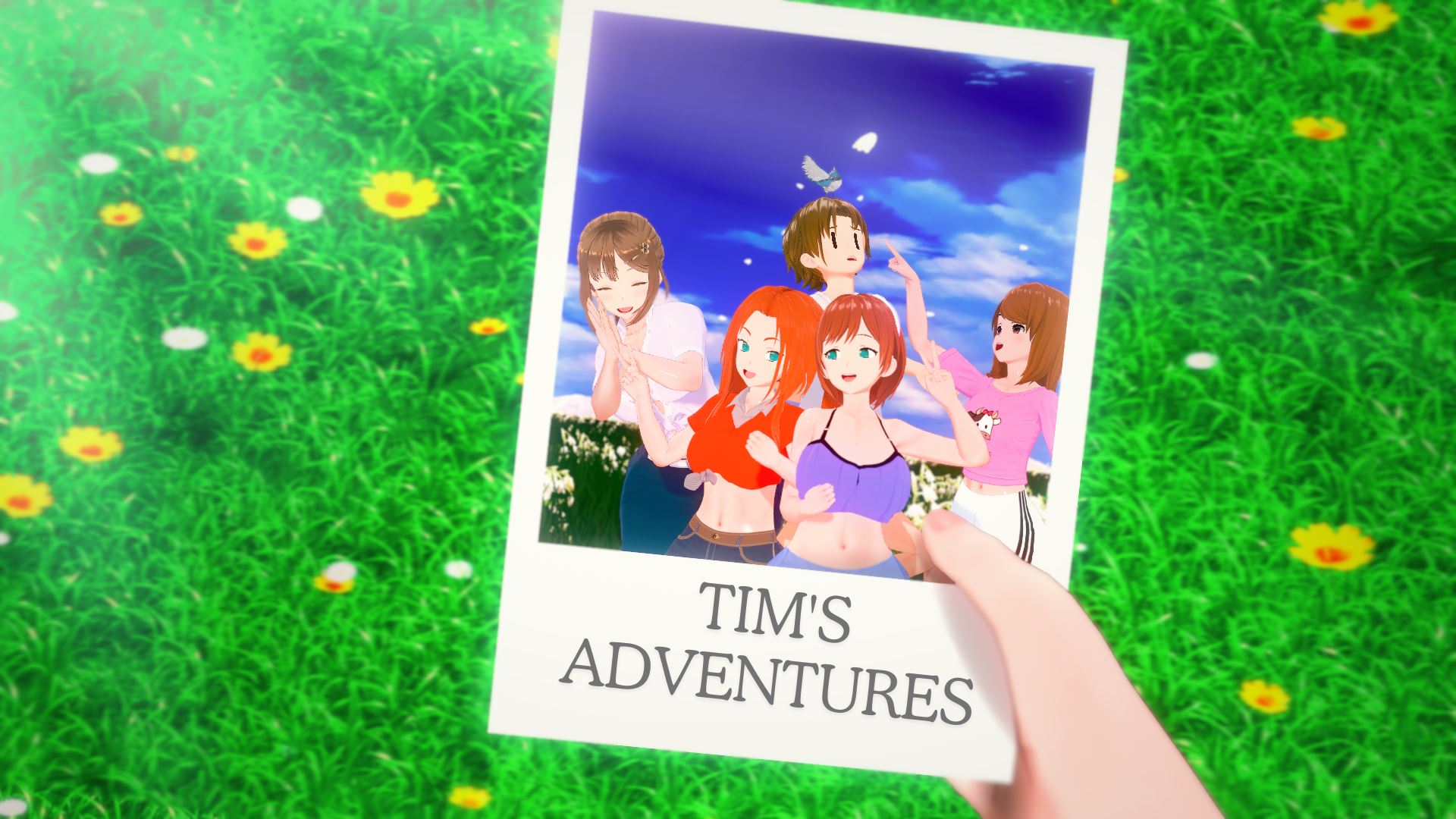 Tim's Adventures cover