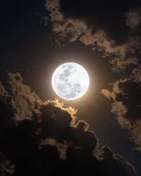 Valley Of The Wolves cover