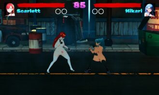 Sakura Lewd Fighters cover