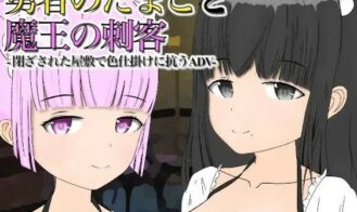 The Hero’s in the Making and the Demon Queen’s Assassins porn xxx game download cover