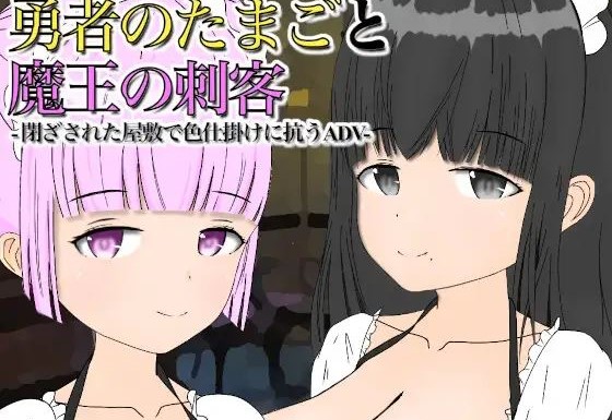 The Hero's in the Making and the Demon Queen's Assassins cover