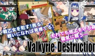 Valkyrie Destruction cover