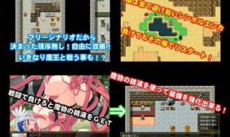 Valkyrie Destruction Screenshot (2)