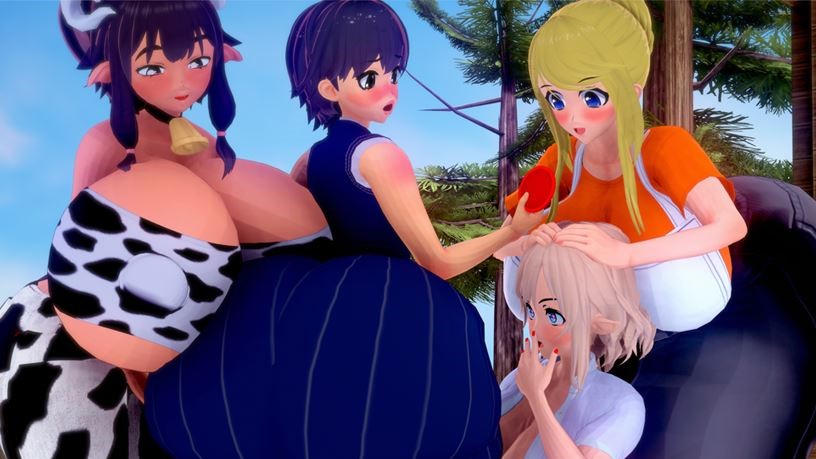 Adventures Of Shirou cover