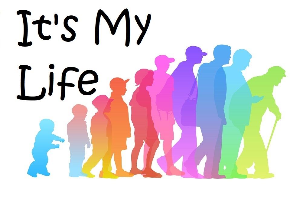 It's My Life cover