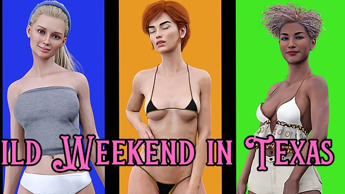 One Wild Weekend in Texas cover