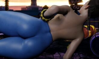 Street Brawler: Adult Playground cover