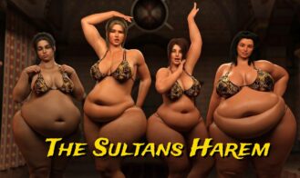 The Sultans Harem cover