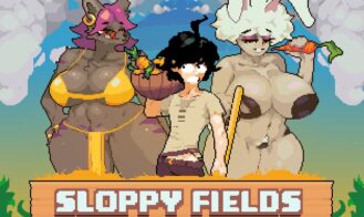 Sloppy Fields cover