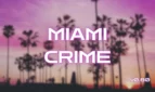 Miami Crime