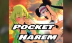Pocket Harem