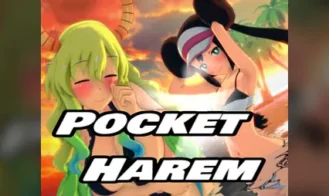 Pocket Harem cover