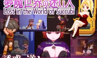Lost in the World of Succubi cover