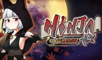 Ninja Ordinance cover