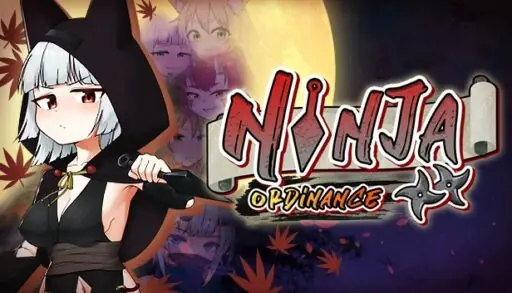 Ninja Ordinance cover