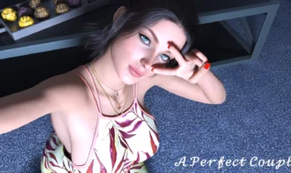 A Perfect Couple cover