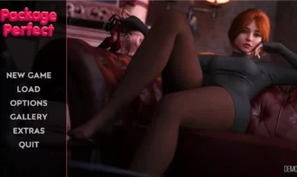 Package Perfect cover