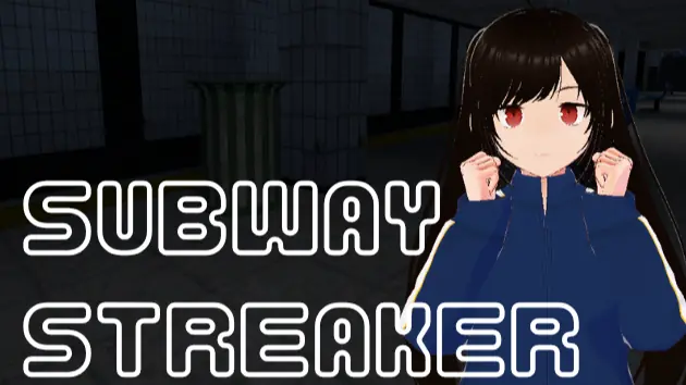 Subway Streaker cover