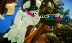 Lucario Got'em