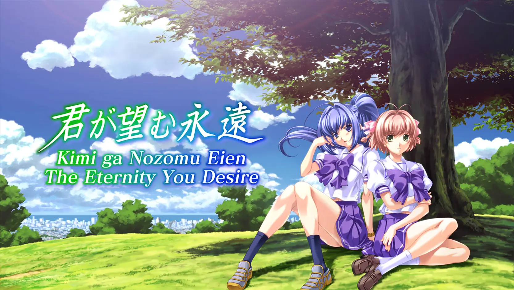 Kimi ga Nozomu Eien ~Latest Edition~ cover