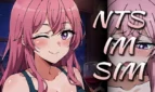NTS-IM-SIM