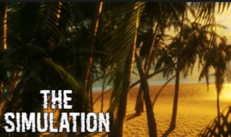 The Simulation cover