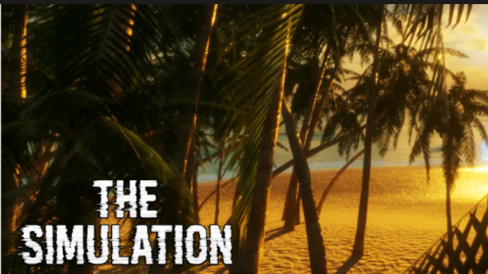 The Simulation cover