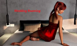 Wedding Roaming cover