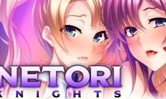 Netori Knights cover