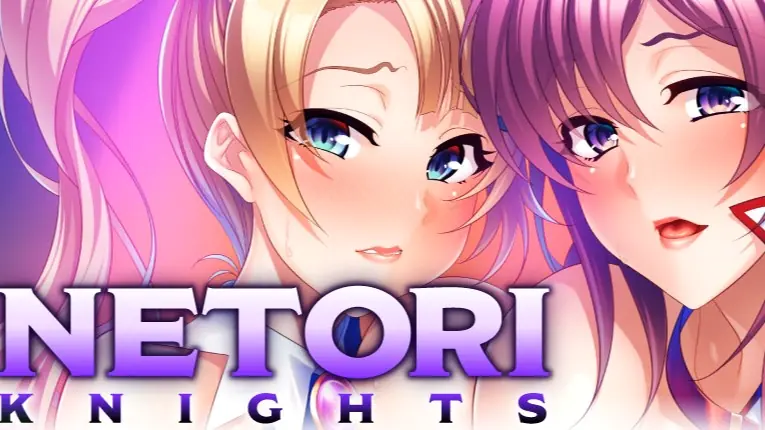Netori Knights cover