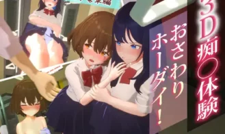 3D Molester Experience: Touching Unlimited! School Train Edition cover